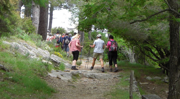 Nordic Walking